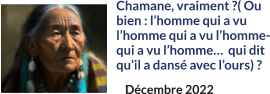 Chamane, vraiment ?( Ou bien : l’homme qui a vu l’homme qui a vu l’hommequi a vu l’homme…  qui dit qu’il a dansé avec l’ours) ?  Décembre 2022